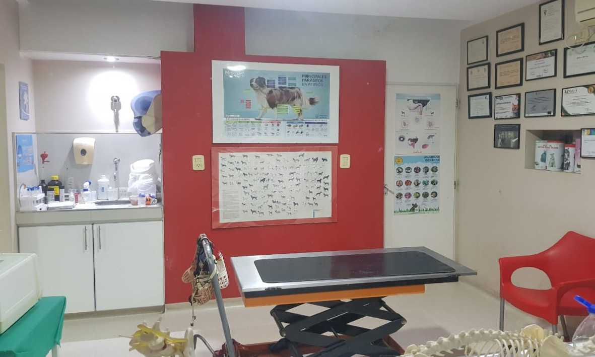 Consultas Generales y Especializadas